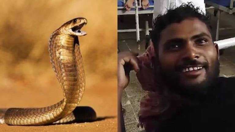 هندي يعض ثعباناً حتى الموت