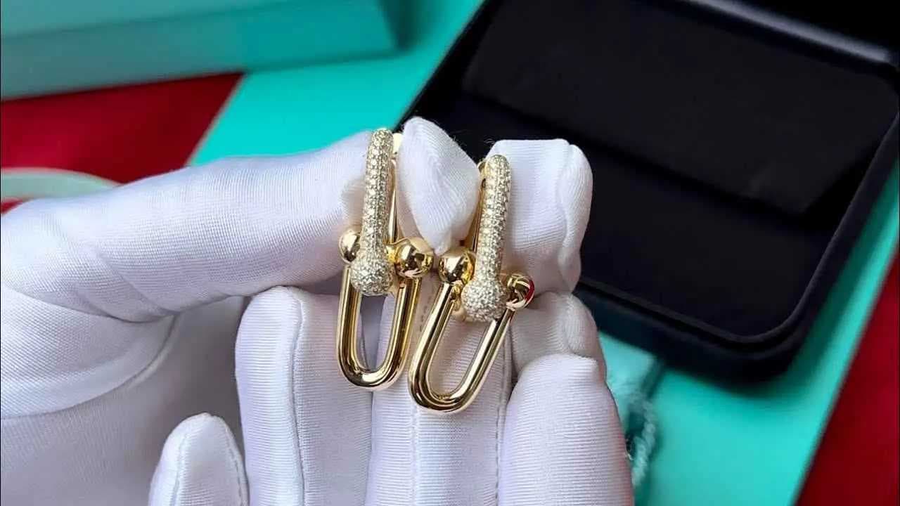 استعادة أقراط ماسية بعد ابتلاعها من قبل لص