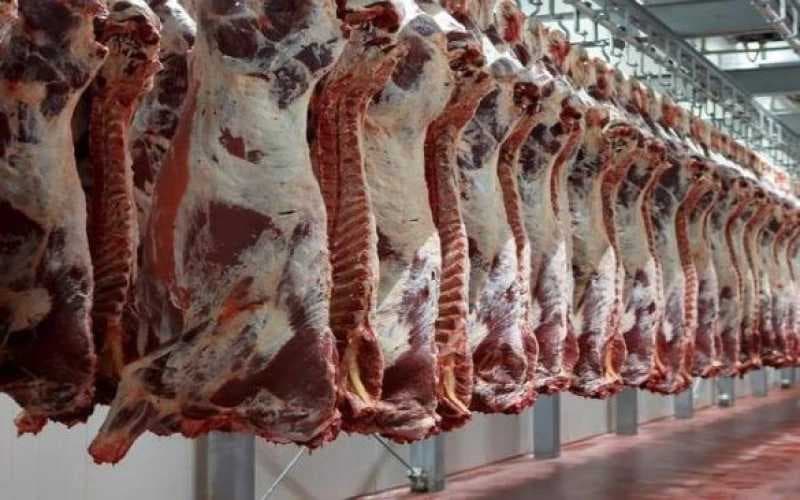 لمواجهة ارتفاع الأسعار.. الزراعة تطلق منصة إلكترونية لاستيراد اللحوم