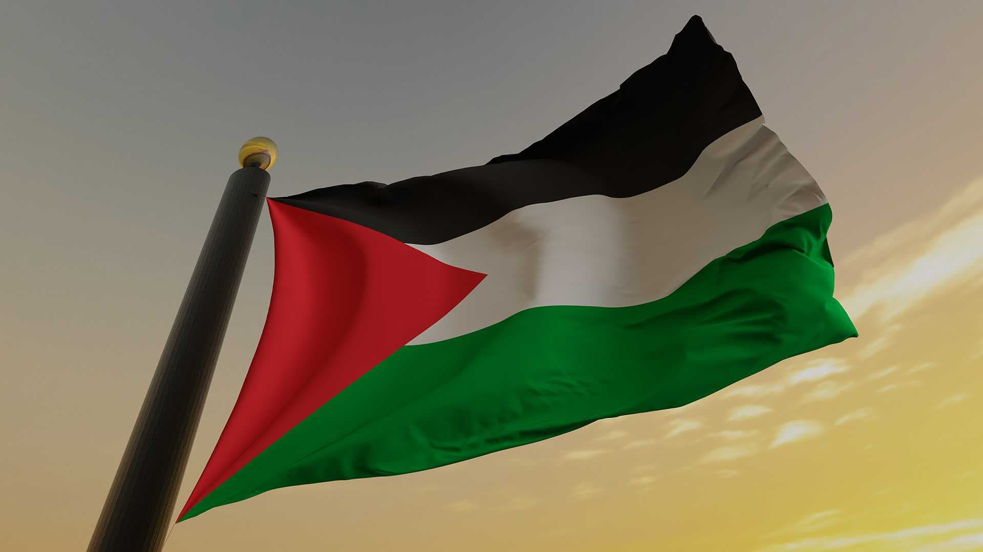 إسبانيا وأيرلندا وسلوفينيا والنرويج تدعو لقبول فلسطين كعضو كامل العضوية في الأمم المتحدة