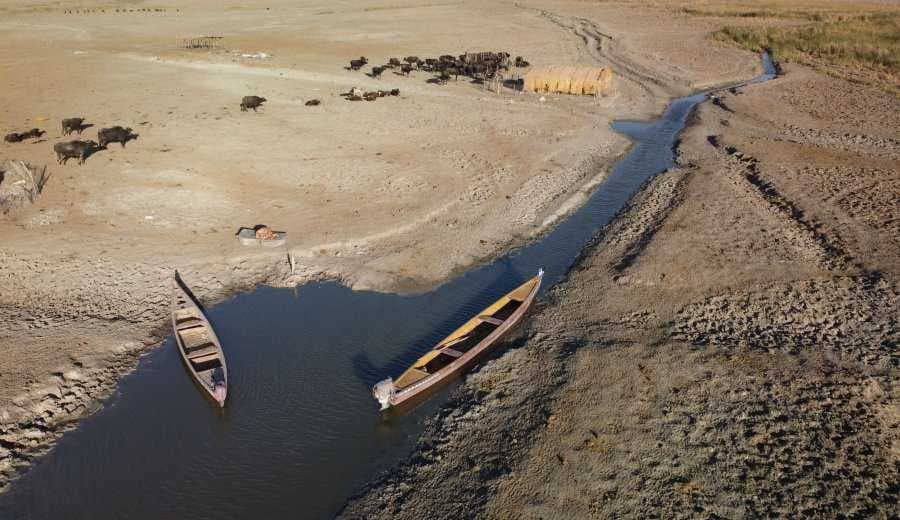 نزوح أكثر من 700 عائلة من المحافظات الجنوبية باتجاه النجف الاشرف بسبب التصحر