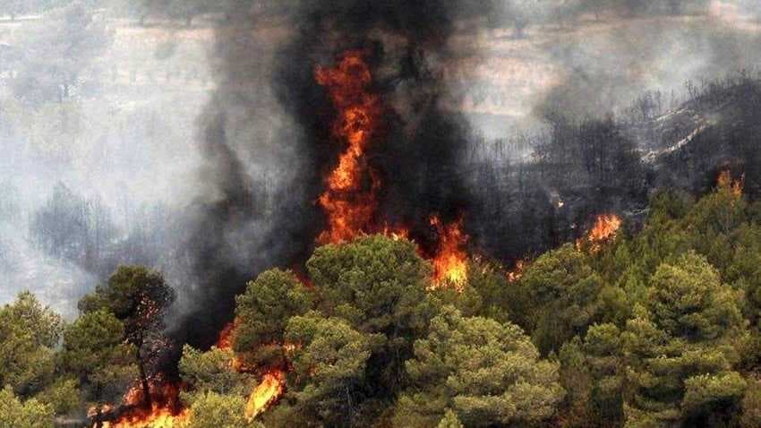إيران تطلق نداء استغاثة دولي لإخماد حرائق مازندران المشتعلة منذ أسابيع