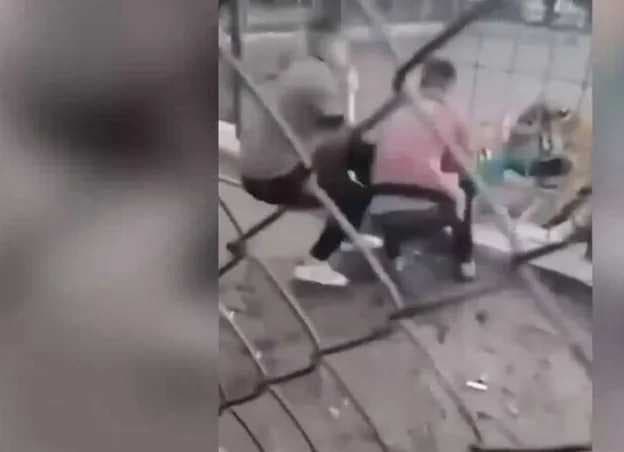 نفوق النمر السيبيري في حديقة الزوراء بعد حادث هجوم الطفل